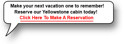 Yellowstone Cabin Rental Speach Bubble